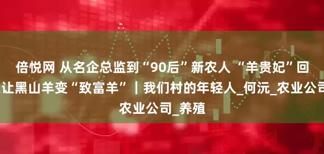 倍悦网 从名企总监到“90后”新农人 “羊贵妃”回乡创业让黑山羊变“致富羊”｜我们村的年轻人_何沅_农业公司_养殖