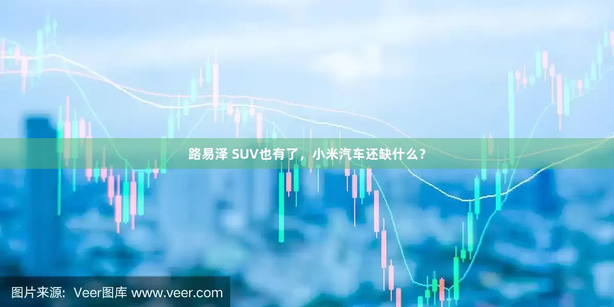 路易泽 SUV也有了，小米汽车还缺什么？