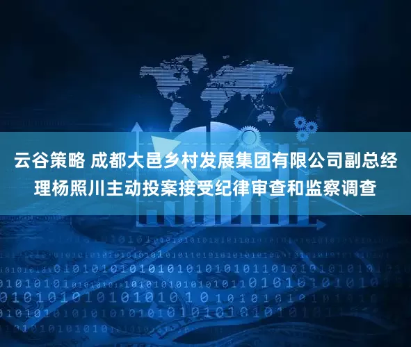 云谷策略 成都大邑乡村发展集团有限公司副总经理杨照川主动投案接受纪律审查和监察调查