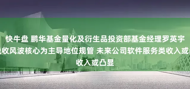 快牛盘 鹏华基金量化及衍生品投资部基金经理罗英宇：税收风波核心为主导地位规管 未来公司软件服务类收入或凸显